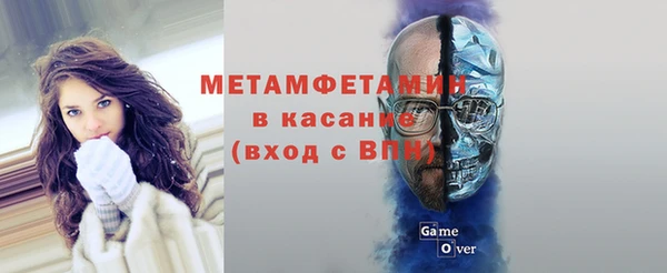 трава Балахна