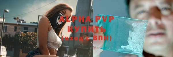 дурь Няндома