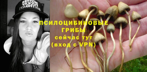 ALPHA-PVP Баксан